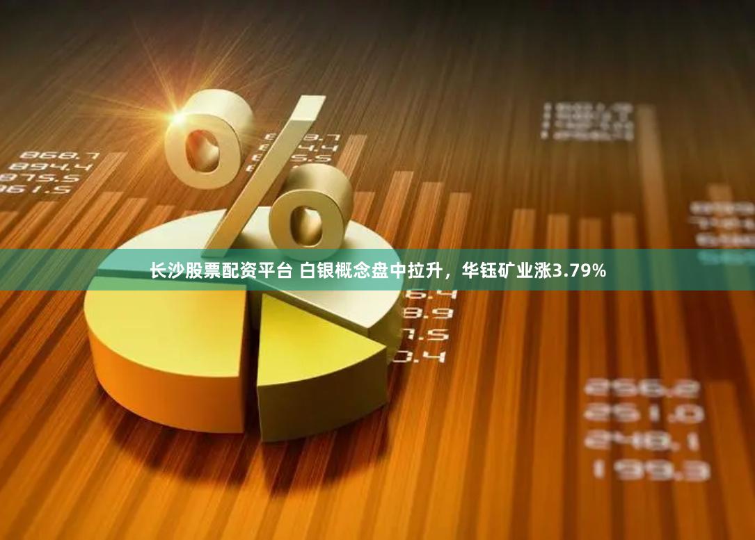 长沙股票配资平台 白银概念盘中拉升，华钰矿业涨3.79%